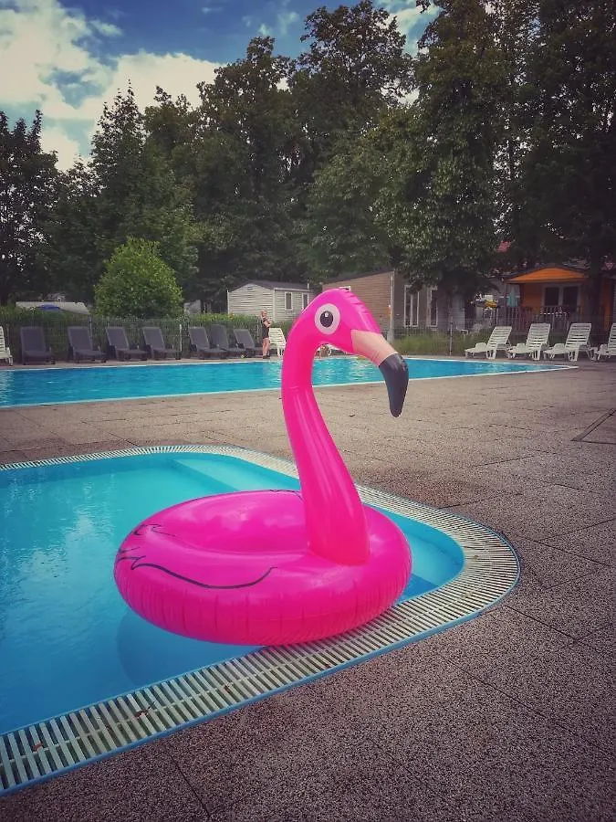 Camping Sokol Praha Praag